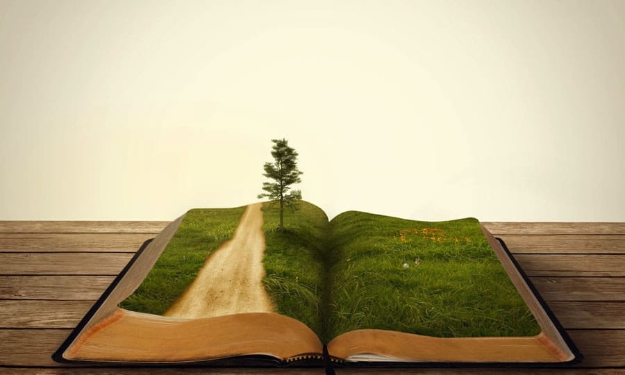Philosophy writing experts