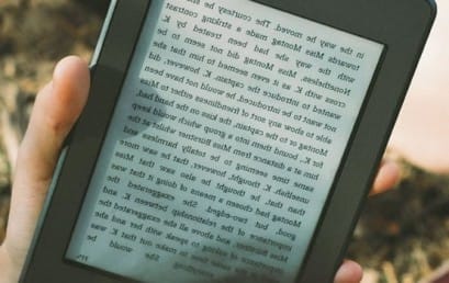 Essay writing expert