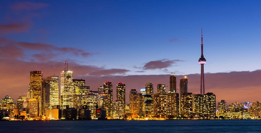 Essay experts toronto