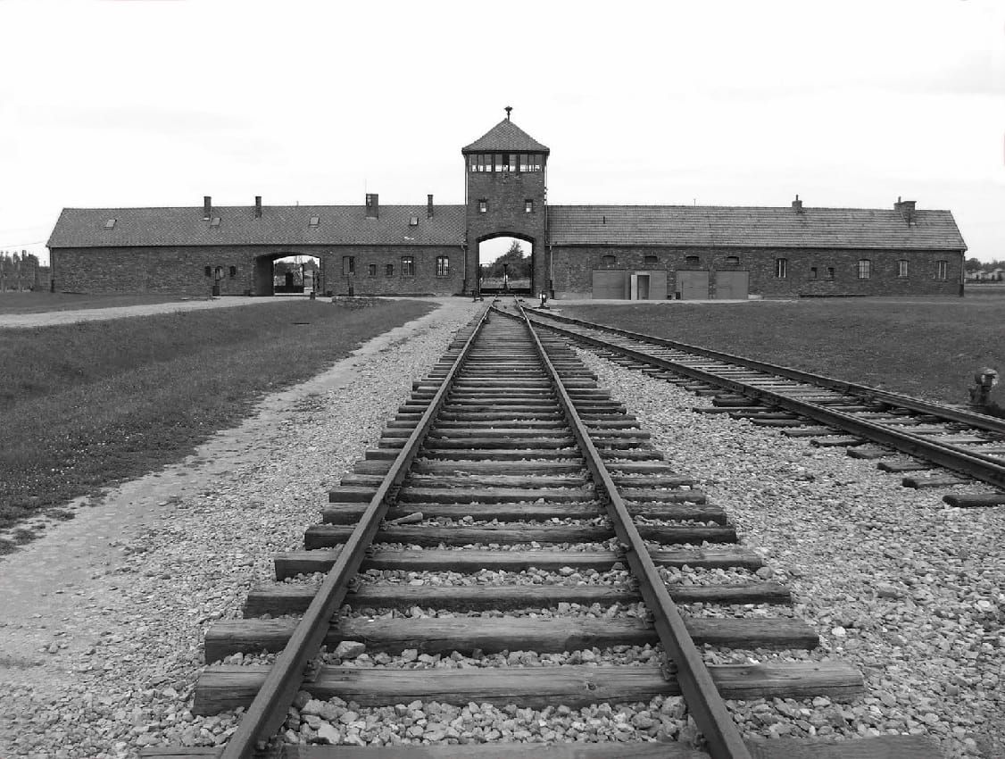 Holocaust essay