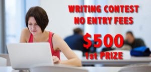 the writer essay contest