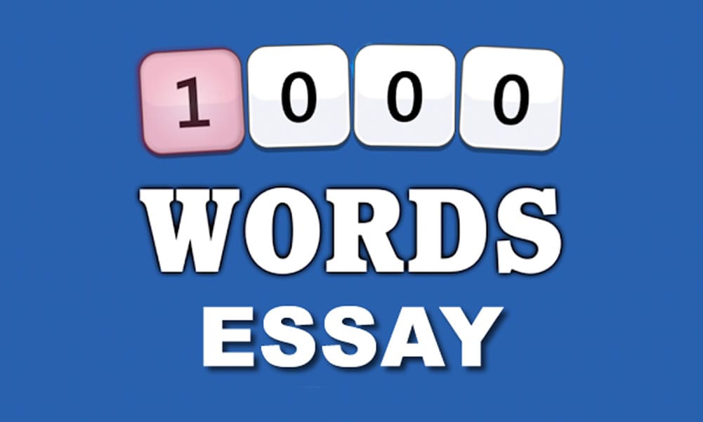 1000 word essay free