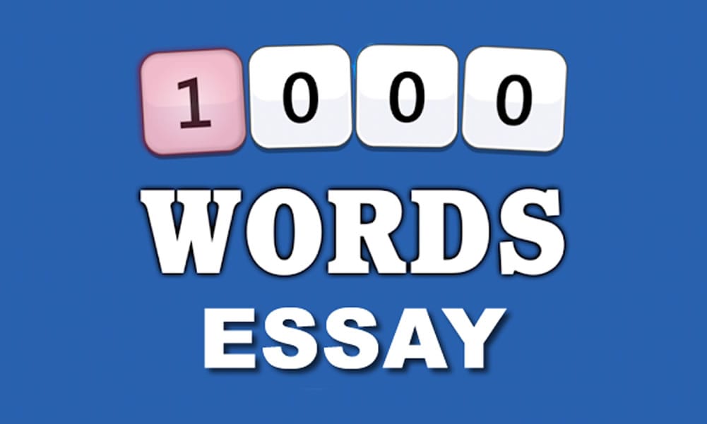 how much is 1000 words in an essay