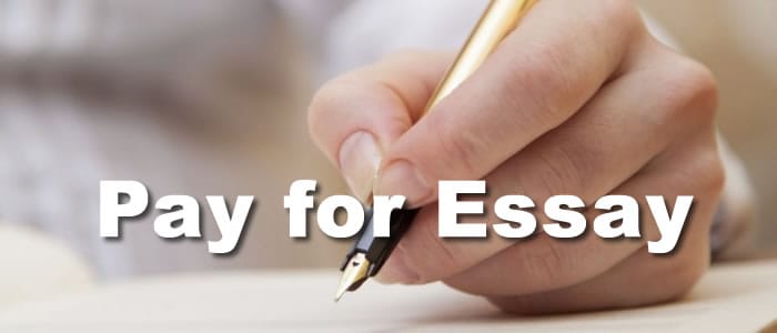 Pay essays writing