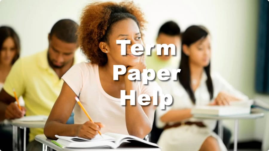 term paper assistance