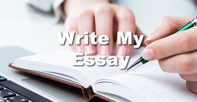 writer my essay