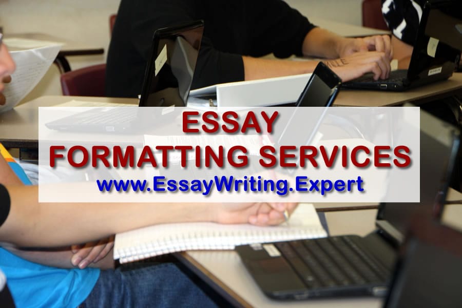 essay writing expert