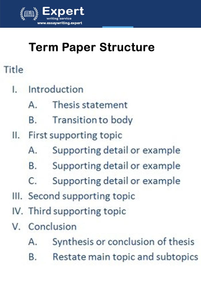 term paper example meaning