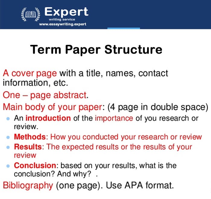 the meaning of term paper