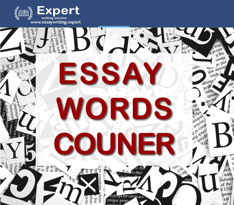 words essay counter