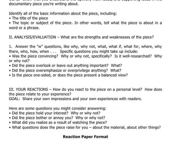 reaction essay sample