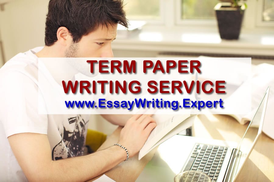 Term writing service