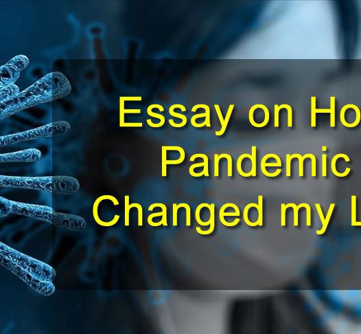 2020 how pandemic changed my life essay